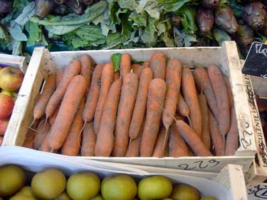 pariscarrotsfrance.jpg