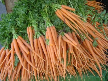 carrotssantamonica.jpg