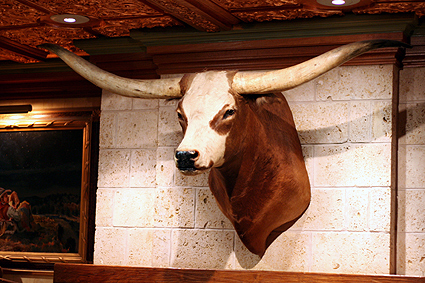 longhorn.jpg