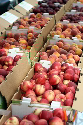 peachesnectarines.jpg