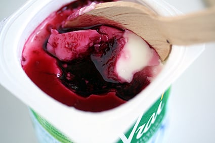 Elderberry Yogurt