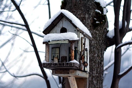 birdhouse-.jpg