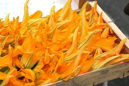 zucchini blossoms