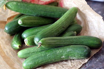 mini cucumbers