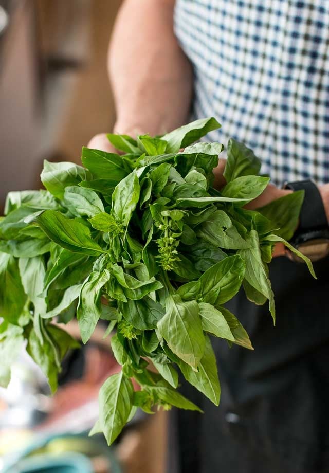 Pesto recipe