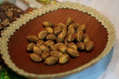 salone internationalze del gusto