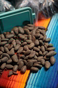 cocoa beans
