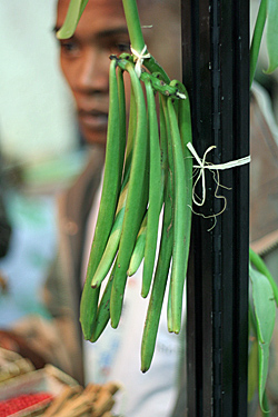 vanilla beans