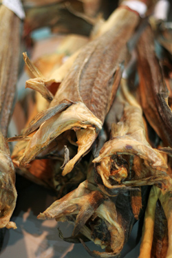 stockfish