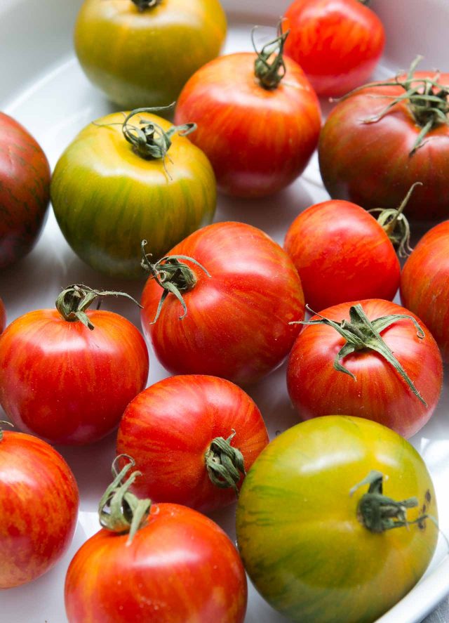 Fresh shelling bean salad recipe