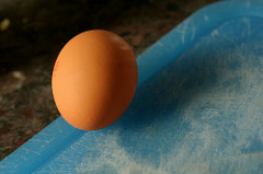 egg