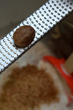 nutmeg