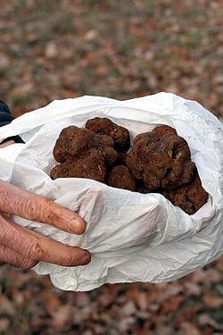 bag of truffles