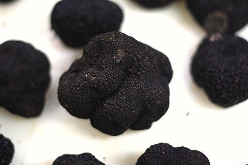 big-ass truffle