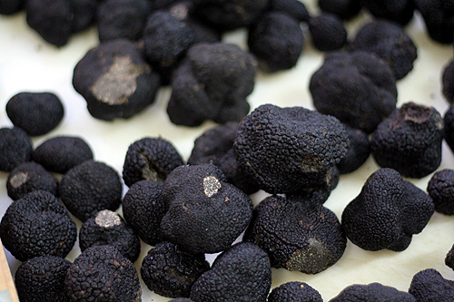 plenty of black truffles