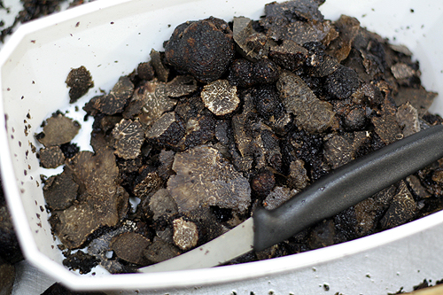 sliced black truffles & knife