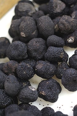 truffes noir