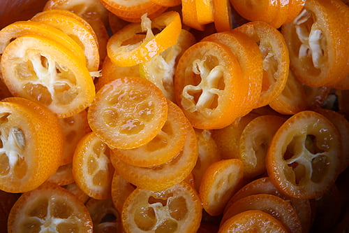 sliced kumquats blog