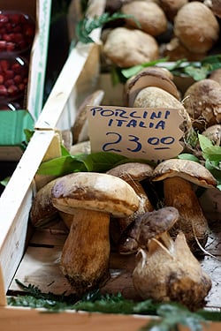 porcini mushrooms