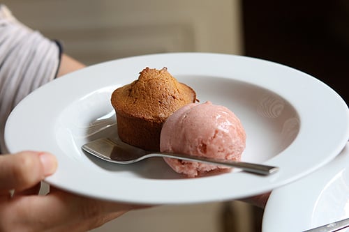 white chocolate cake and rhubarb sorbet