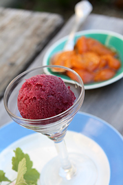 red wine sorbet