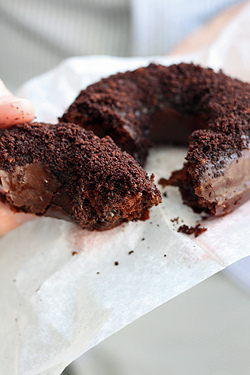 chocolate doughnut plant