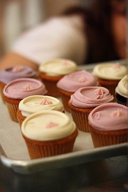 cupcakes at Babycakes NYC