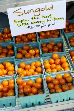 sungold cherry tomatoes