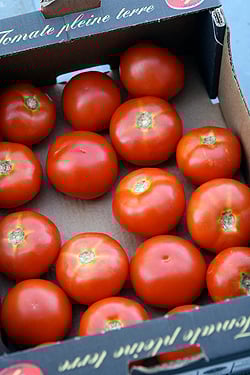 tomatoes