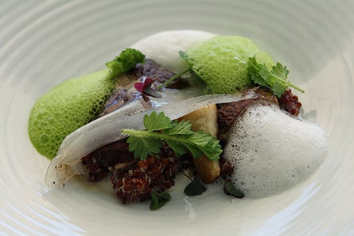 mushroom, quinoa, sea foam