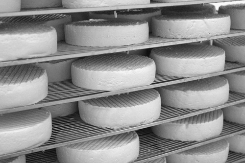 cheese wheels