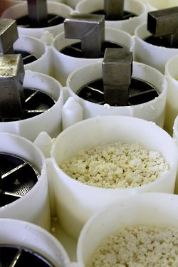 pressing cheese curds