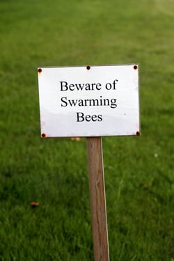 beware of swarming bees
