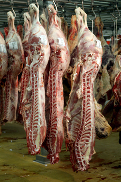 hanging beef