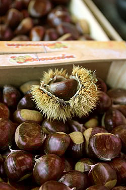 chestnuts