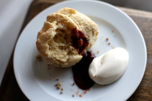 scone and jam, with cream