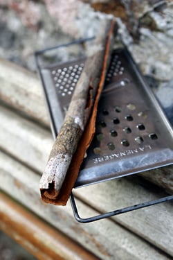 cinnamon