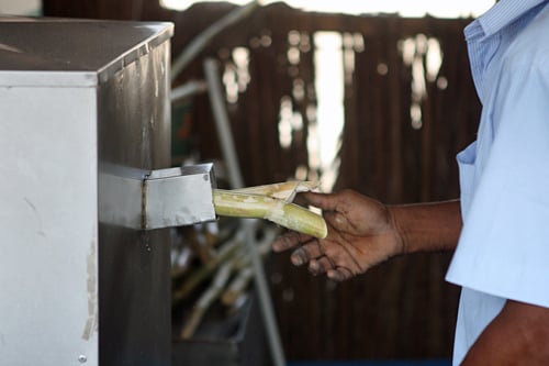 sugar cane press