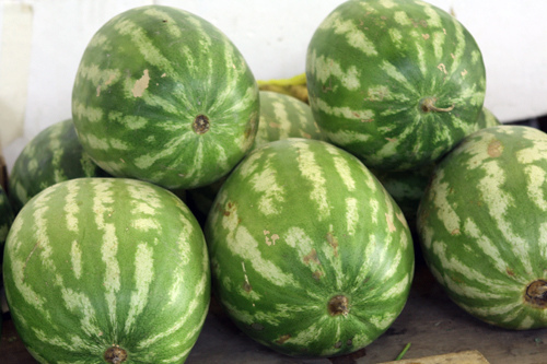 watermelon