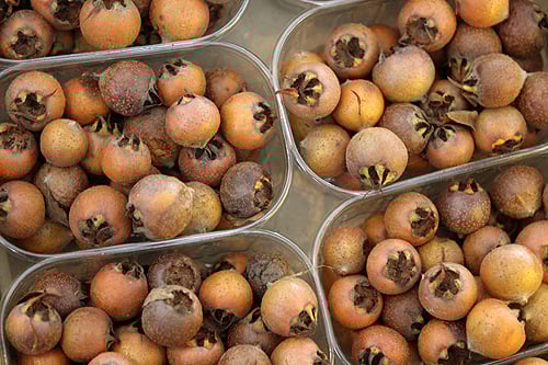 medlars