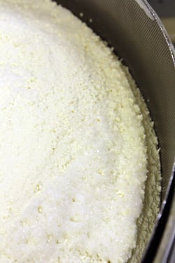 Comtรฉ curds in mold