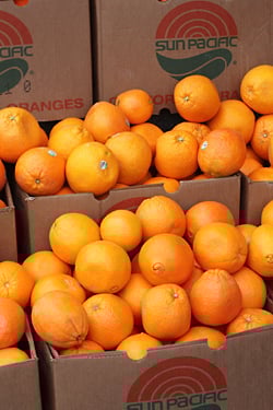 navel oranges