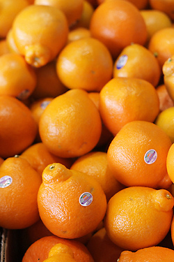 tangelos