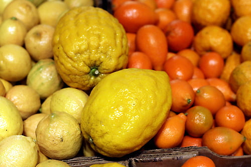 citrons, mandarinquats, lemons