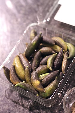 finger limes