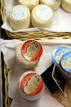 goat cheese