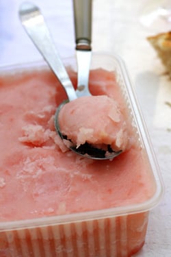 grapefruit campari sorbet