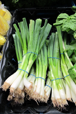 scallions