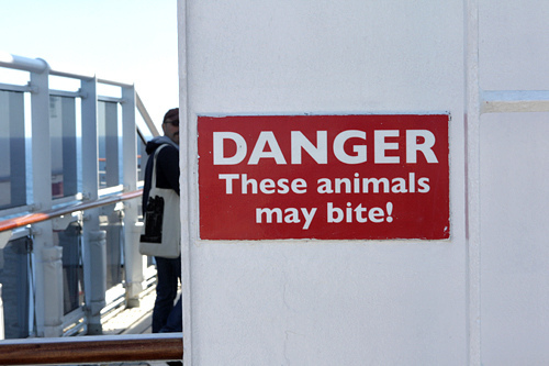 danger these animals may bite