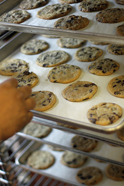 chocolate chip cookies